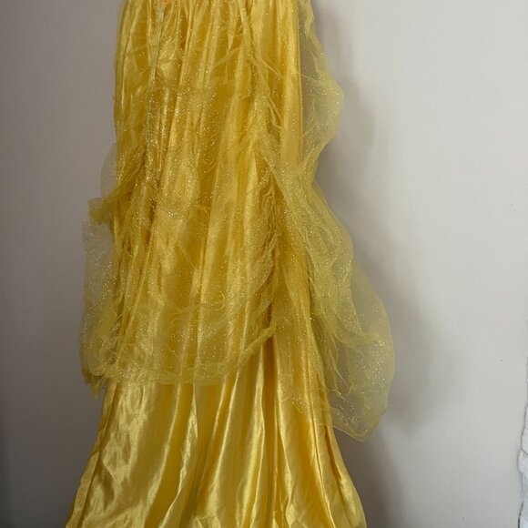 Belle Princess Costume - Picture 10 of 15